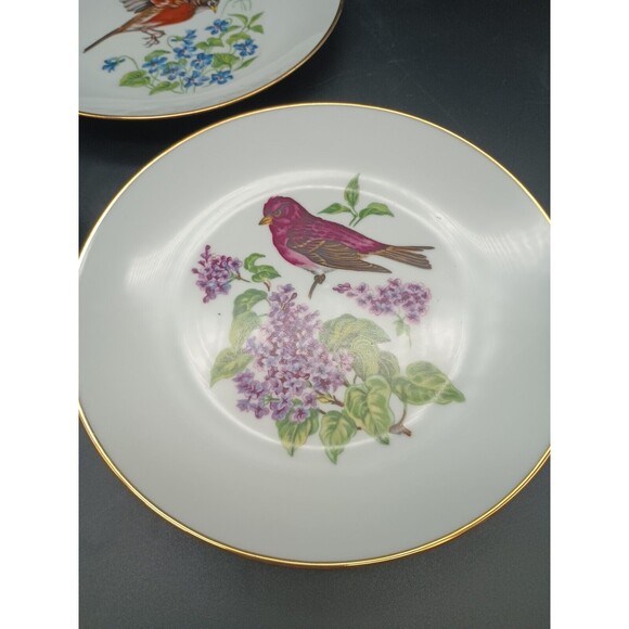 3 Vintage Bareuther Waldsassen Bavaria German Spring Birds & Flowers 8” Plates - Picture 2 of 8